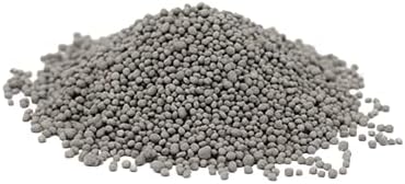 Hancock Seed Co. Chicory Seeds, 5 lbs.