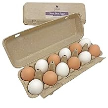 Nest Box Queen Brown Chicken Nest Eggs - 12 Ceramic Eggs for Nest Box Training & Home Decor
