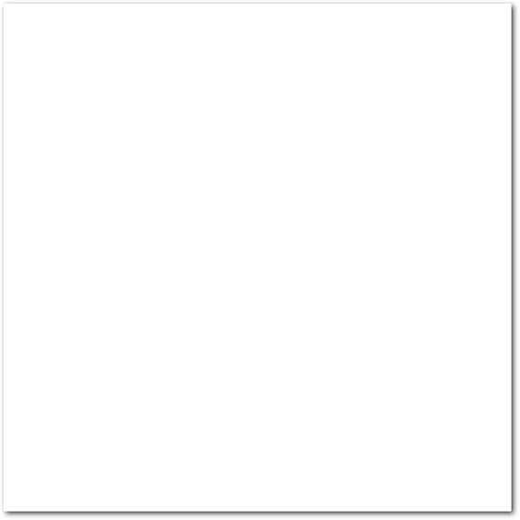 Canson Mi-Teintes Board, White