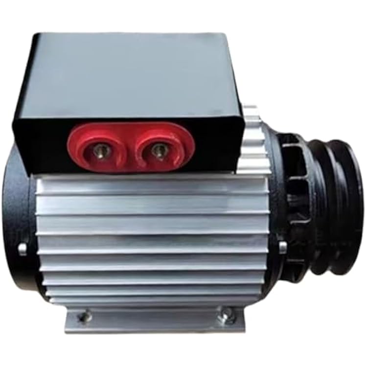3KW5KW Brushless Neodymium Permanent Magnet Generator, 220V, Portable, 1500RPM, Pure Copper Windings, Efficient Single Phase AC Power for Home Use & Water Pump