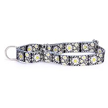 Heavy Duty Nylon Dog Collar, Adjustable Martingale Dog Collar for Walking Training Boy and Girl Dogs Medium Large Dogs (L:45-53CM, Little Daisy)