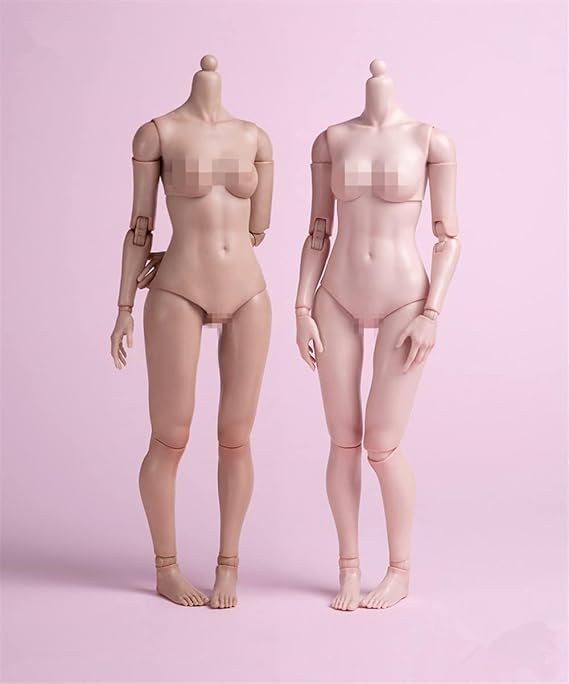 1/6 Scale Female Body Joint Flexible Girl Figures Normal Fat Leg Anime Body 12" White Suntan Skin Action Figures Body Model for Hobby Collection (AT202 Pale Skin)