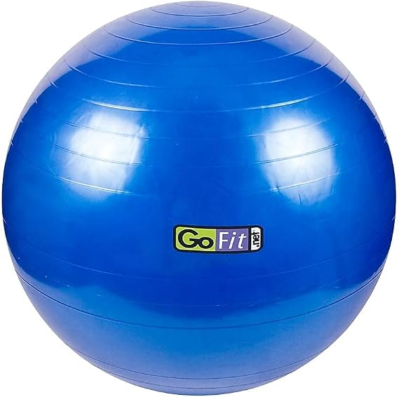 GoFit Stability Ball