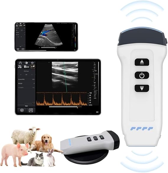 Dual Probe Wireless Color Doppler Ultrasound for Large Animals