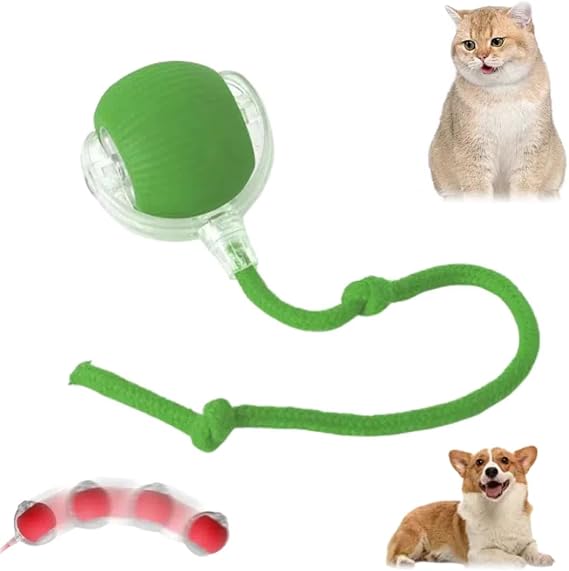 Interactive Cat Toy 2025 New Cat Toys for Indoor Cats, Kitten Toys for Bored Indoor Cats/Dogs (Green)