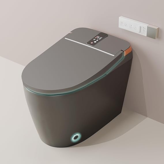One Piece Elongated Smart Toilet T3