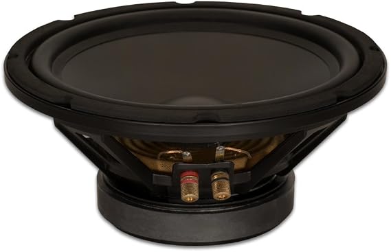 Goldwood Sound GW-10PC-4 Heavy Duty 4ohm 10" Woofer 400 Watts Replacement Speaker