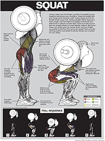 Fitnus Chart Series Squat Workout Laminated Poster