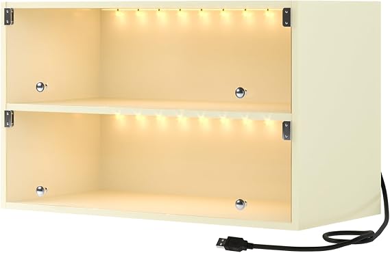 Shoe Storage Box, Shoe Organizer Storage Box with RGB LED Light for Up To 6 Pairs of Shoes, Glass Door Wooden Stackable Shoe Box Shoe Storage Cabinet For Sneakers (Two-ply, Off White)