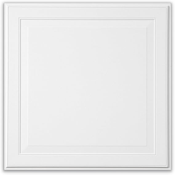 Armstrong Ceiling Tiles; 2x2 Ceiling Tiles - 6 pc White; Acoustic Ceilings for Suspended Grid; Single Raised Panel 1205
