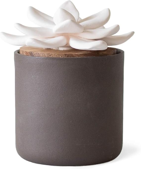 Edens Garden Charcoal Ceramic Bloom Diffuser Essential Oil Passive