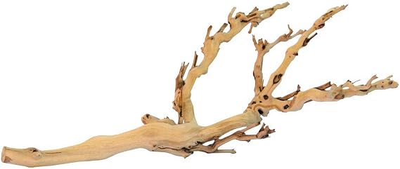 Exo Terra Forest Branch, Medium (Exact Size May Vary)