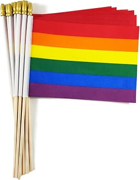QQSD Rainbow Gay Pride Small Flag Stick Mini Hand Held LGBT Flags - Solid Wooden Pole with Spear Top, 12 Pack