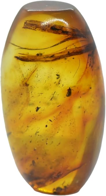 Baltic Amber Fossil with Grass and Moss - Natural stone 3.59g