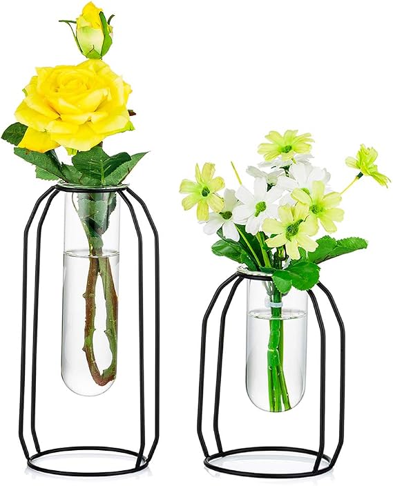 NUPTIO Vases Set of 2 Glass Vases with Metal Frame, Modern Black Frame Cylinder Clear Vase Planter Terrariums, Flower Holder Decorations for Wedding Living Room, Office, Party