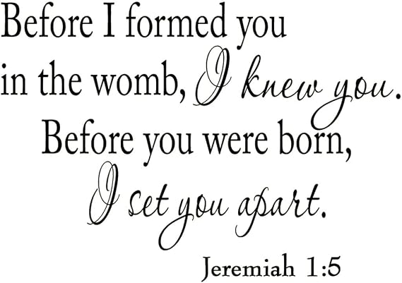 Before I Formed You in the Womb I Knew You Jeremiah 1:5 Wall Decal