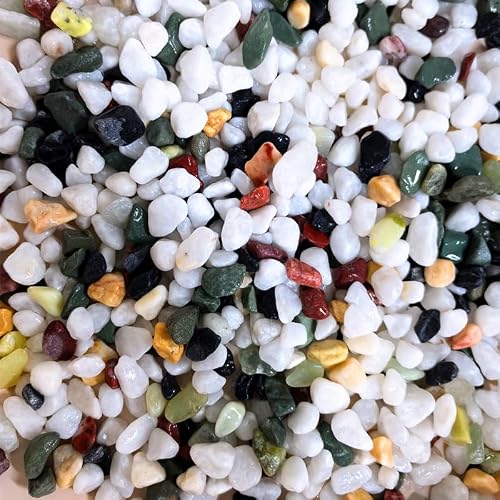 500G 1.1LB Succulent Rocks, 0.3-0.8Inch Horticultural Grit for Indoor Plant Decoration, Natural River Stones for Cactus, Decorative Gravel for Landscaping, Aquariums, Bonsai, Vases FillersMixed