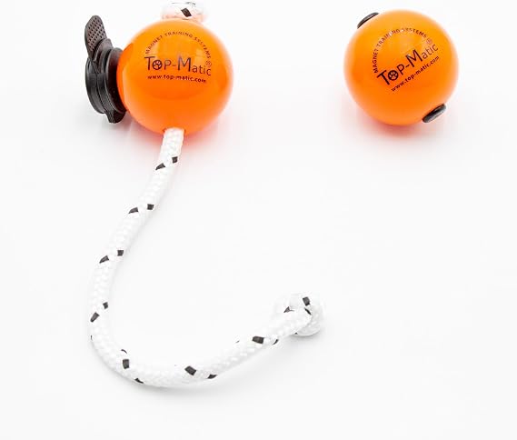 Magnetic Training Ball 2.5" Diameter, Earth Magnet Reward Tool for Professional Dog Trainers, Works with Magnetic Training Systems
