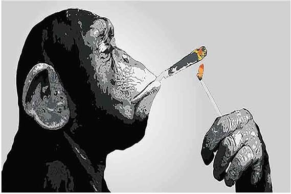Ltt-Ydd-Ccl Banksy-Monkey Smoking-Canvas Paintings Art Reproduction Canvas Wall Art Canvas Pictures for Living Room and Bedroom Home Decor(Unframed-80x120cm-31x47inch)