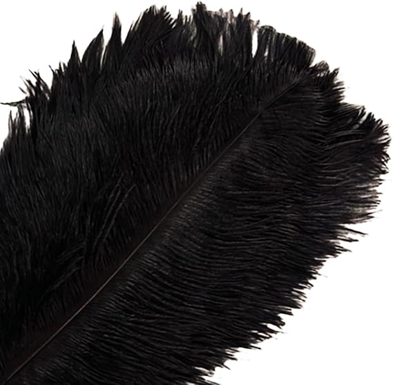 10Pcs Bulk Natural Black Ostrich Feathers,8-10 inch (20-25cm) Beautiful Long Feather for Crafts,Wedding Centerpieces Party Home Decoration,Dress and Christmas DIY (Black, 8-10in)