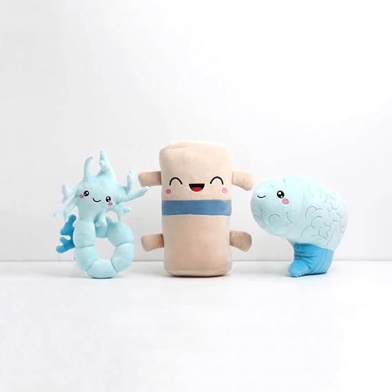 nerdbugs Brain, Neuron and Spine Bundle - We Have A Connection - Neurologist/Spine Specialist/Rheumatologist/Medical Student/Nurse/Teachers/Psychologists/Psychiatrists/Friendship Gift/Brain Surgery/