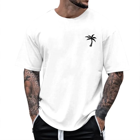 Alalaso Mens T-Shirts Short Sleeve Crew Neck Shirts Casual Loose Fit Tops Athletic Quick Dry Active Tee Shirts for Men