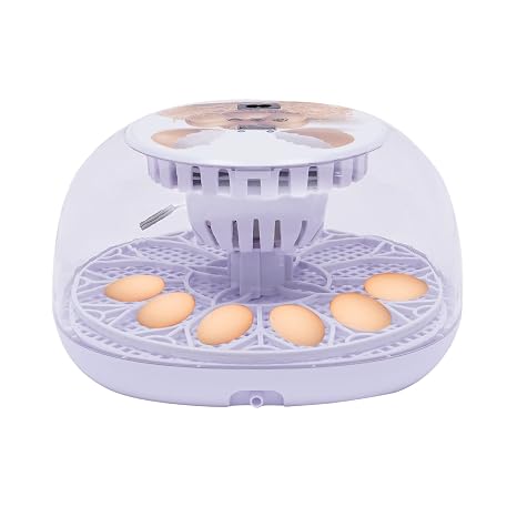 Egg Incubator, Automatic Turning Incubator, Smart Home Egg Incubator, Accommodates 12 Eggs, Suitable for Home, Training and Laboratory Use