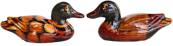 Feng Shui Mandarin Ducks