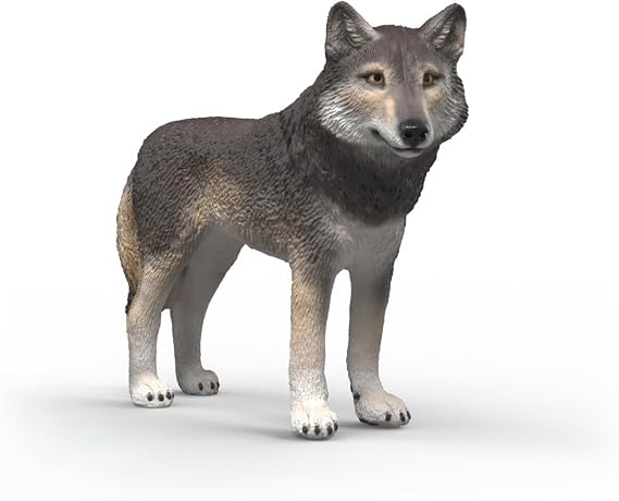 Schleich Wild Life - American Wolf Toy Figurine - Kids Ages 3+ | 14991 | Wild Animal Figurine, Realistic Animal Toys, Safari Toy for Boys and Girls, Screen-Free Imaginative Pretend Play, Montessori