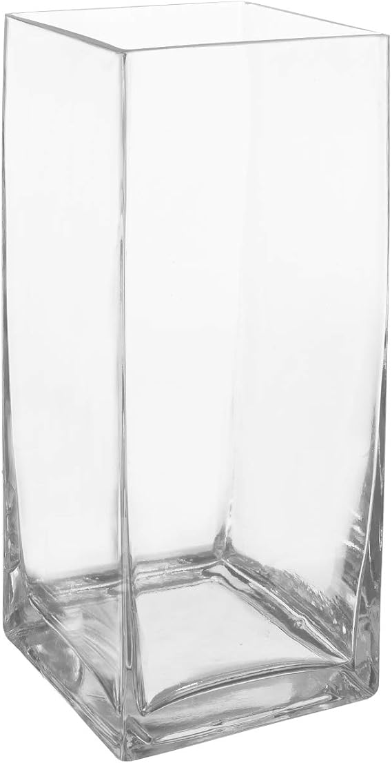 Royal Imports Square Glass Vase 12" Tall, 5"x5" Opening Clear