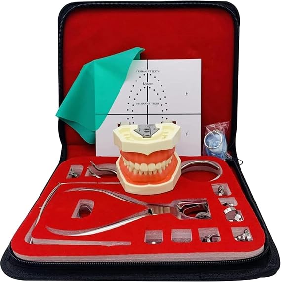Dental Endodontic Rubber Dam Kit,Rubber Dam Kit with Frame Punch Clamps Dental Instruments,Dental Clip Tool Set with 28 Teeth Model Positioning Plate Clamps Frames, for Dental Oral Practitioner