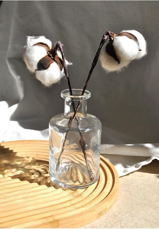 Cam Mini Vazo Şeffaf Dekoratif Minimal Şişe 210 ml 12 cm 1 Adet