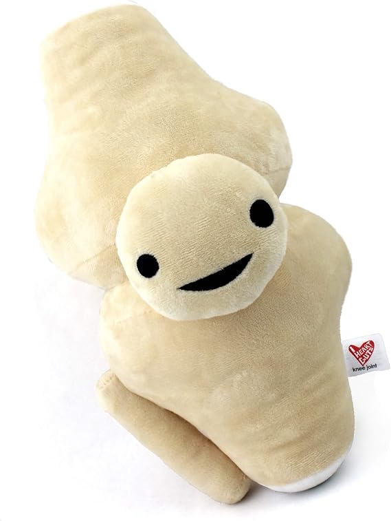 I Heart Guts Knee Joint Plush - 12" Cute Educational Organ Toy for ACL Tears & Knee Replacement - Funny Get Well Recovery Gift for Ortho Nurse Patients Athletes & Medical Student STEM Anatomy Plushie