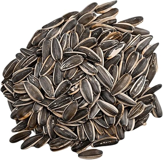 Premium Roasted Salted Sunflower Seeds 1kg Bag | Sunflower Hearts (Shelled Kernels) | High Protein, Vitamin E & Fibre | Perfect Savoury Snack & Salad Topper | Keto & Vegan
