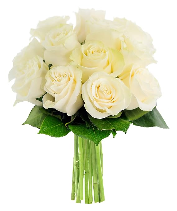 KaBloom-12 white Rose Bouquet, Flowers for Valentine, Mother's Day