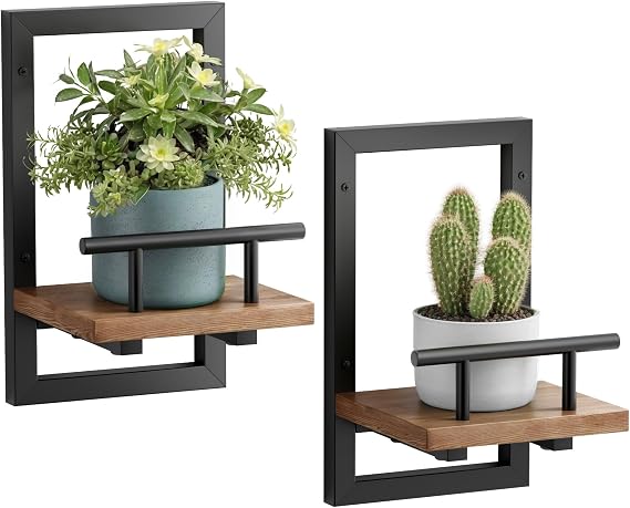 Sbosbo Floating Shelves for Wall Plant Shelf