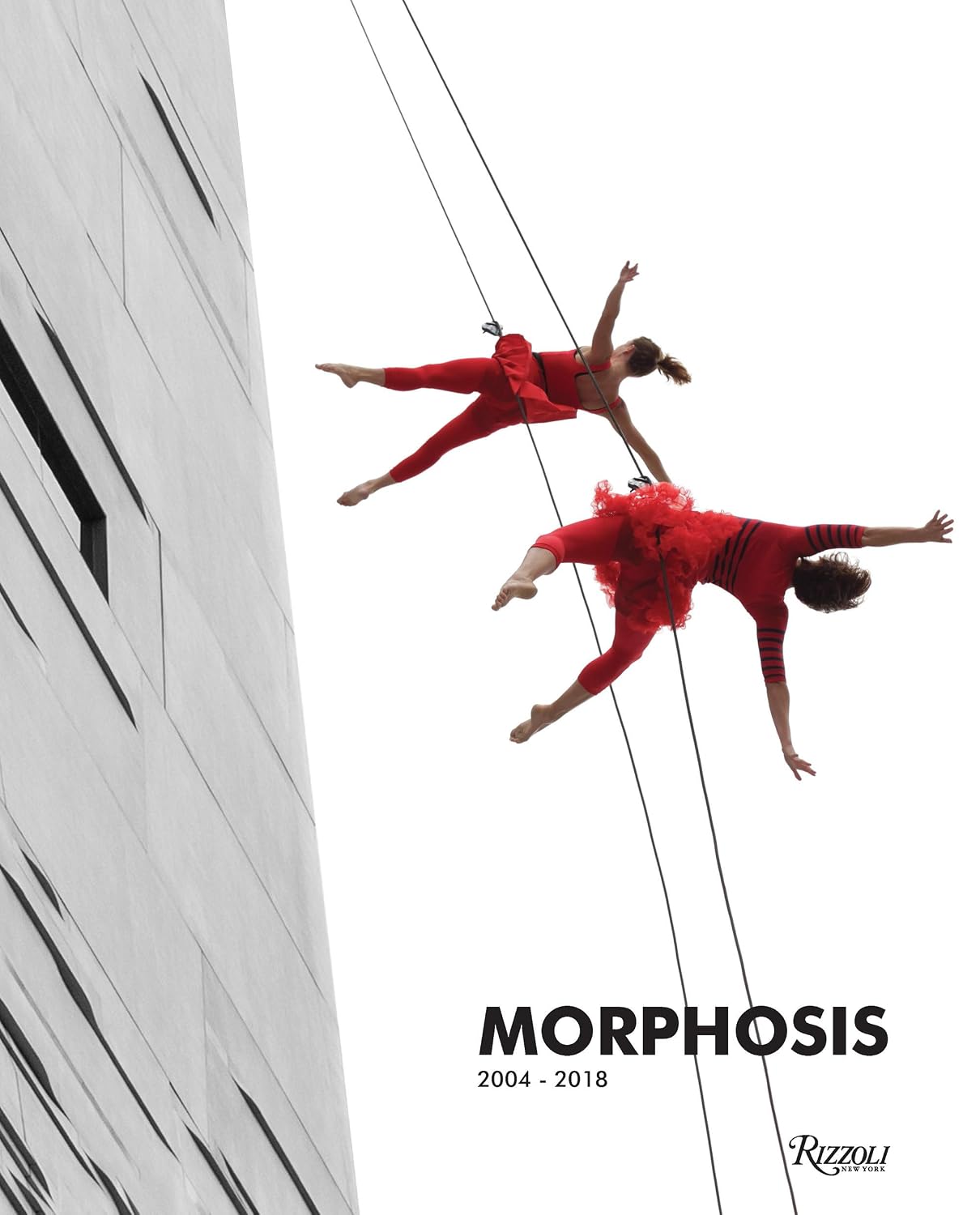 Morphosis: 2004-2018 Hardcover – October 8, 2019