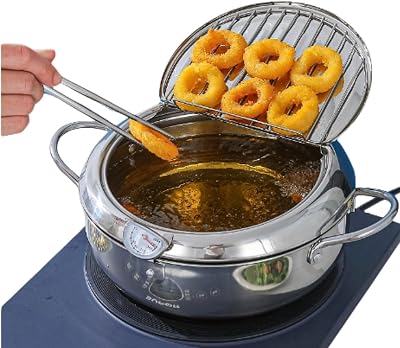 Stainless Steel Deep Fryer Pot, Japanese Deep Fryer Pot with Lid, Temperature Control & Oil Drip Drainer Filter Rack for French Fries Chicken Wings and Shrimp Tempura 28cm11in