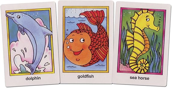 Go Fish Flash Cards - Braille