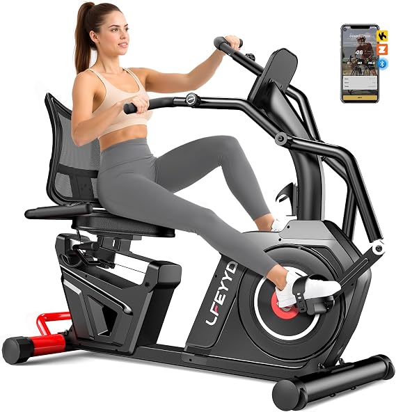 Recumbent Exercise Bike for Home, Stationary Bike with Arm Exerciser