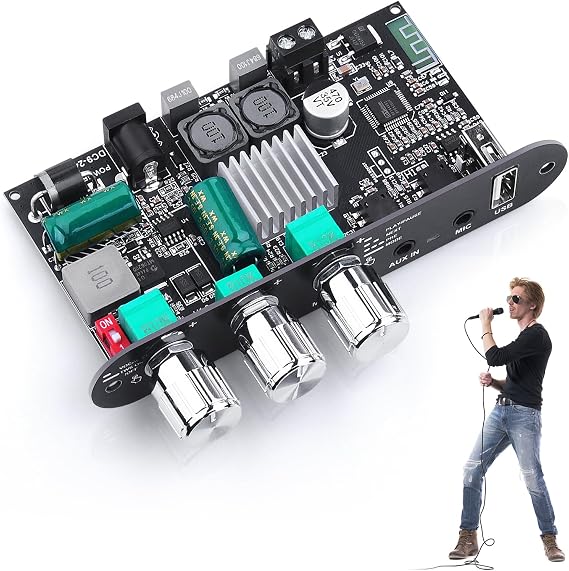 Bluetooth5.3 Mini Amplifier Board 100W Mono Power Amp with TWS Box | Karaoke Audio Amps Module with Boost for Home/Outdoor DIY Speakers, DC 9-24V, MIC and Reverb, Supports BT/USB/AUX Inputs