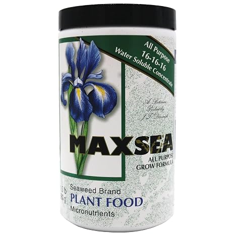 Maxsea All Purpose (16-16-16) 1.5lb
