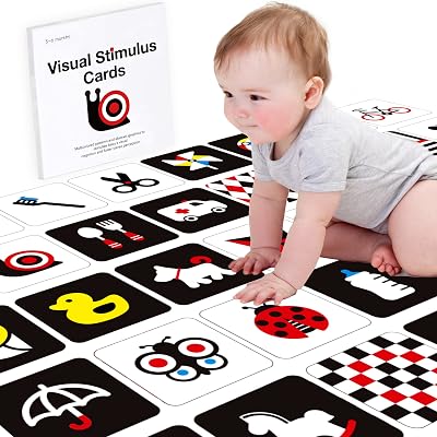 Richgv High Contrast Flash Cards for Infant Toddler and Baby.Cognitive Cards 20pcs with 40 Pages.Visual Stimulation Sensory Toy Educational baby Gift for 3-6months