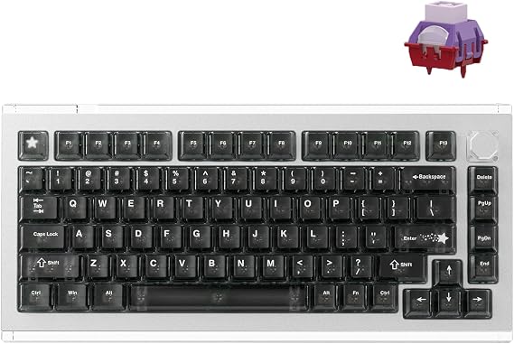 DrunkDeer A75 Master Rapid Trigger Keyboard, Esports Gaming Keyboard, Magnetic Switch, Adjustable Actuation - RT Plus - RT Match, 8K Hz, 0.01mm, 75% Design - ANSI, Silver - TTC POM Switch