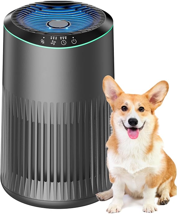MORENTO Air Purifiers for Home, Air Purifier for Smoke Pet Dander Odors with Fragrance Sponge, Small Air Purifier with Sleep Mode for Bedroom Office, Blue Ambient Light, MR2566, Grey, 1 Pack+3 Modes