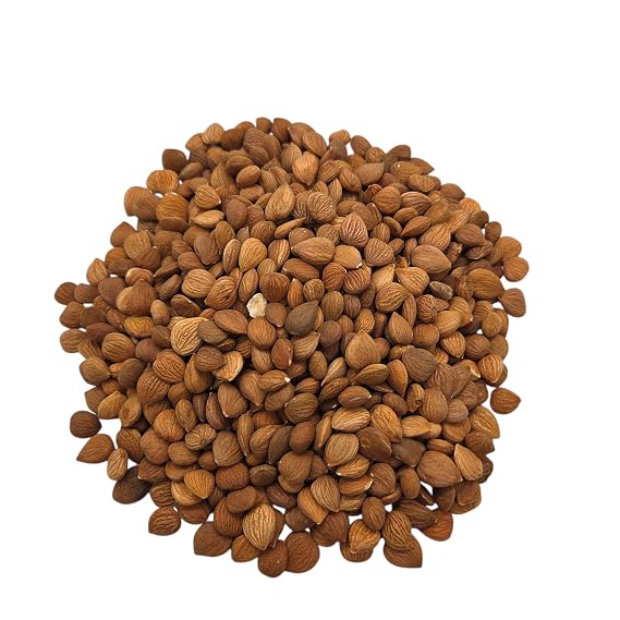 Seven Star Khasta Giri Almond - 500gm,Apricot Kernels [ 100% Natural,Rich in Oil, Bitter in Taste ] Natural & Blanched