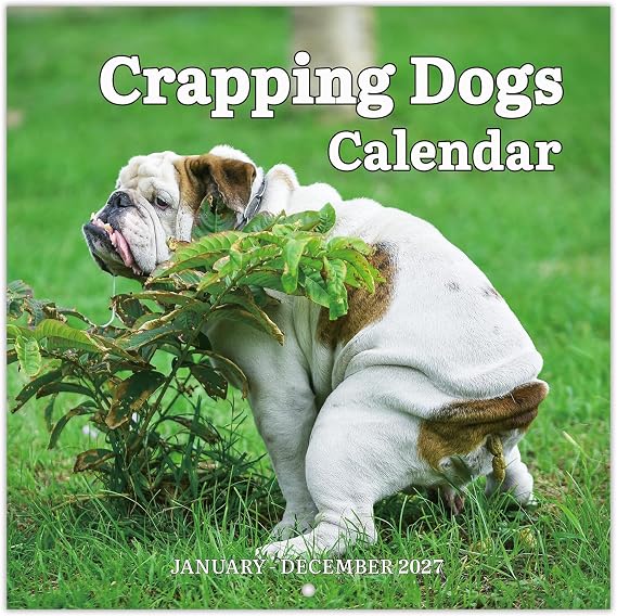 2027 Wall Calendar 12 Monthly Pooping Dogs Calendar 2027, Jan 2027 - Dec 2027, Funny Dog Calendar Gag Gifts, 11.8" x 23.6" (Open), 11.8" x 11.8"(Closed), Perfect White Elephant Gift Funny