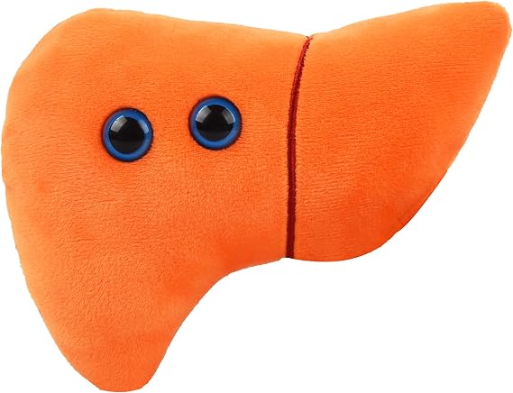 GIANT MICROBES Stuffed Liver Plush, Anatomy Model