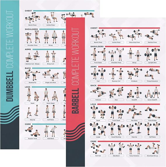 FitMate Exercise Poster - Workout Routine with Weights Home Gym Decoration Room Guide
