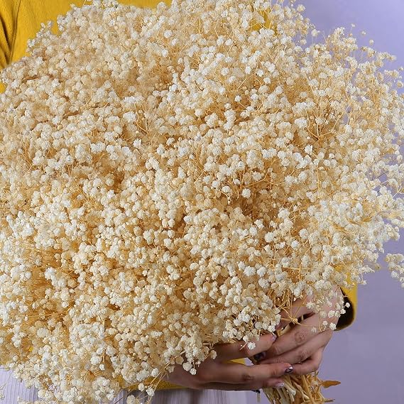 9000+ Large Dried Babys Breath Flowers Bouquet, 7.1 oz Cream White Flowers